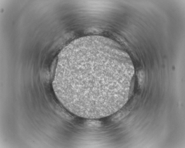 X0000088220617200706051324