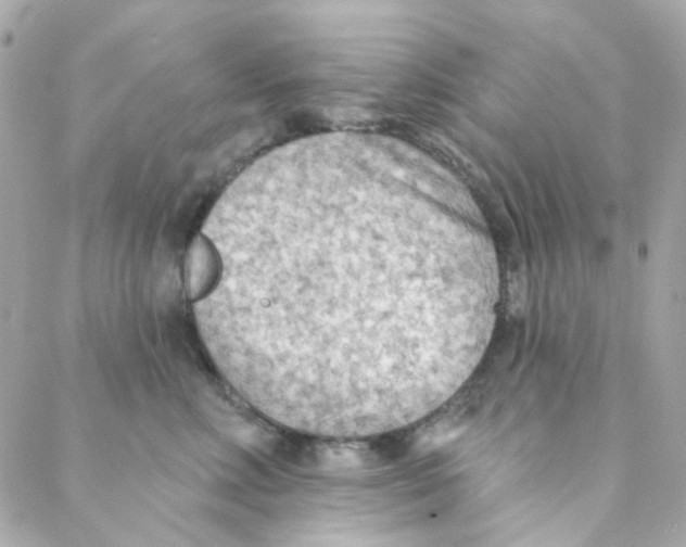 X0000088220618200706051324