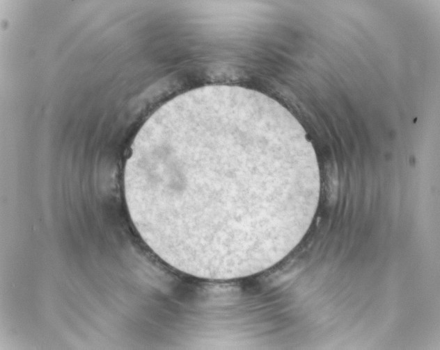 X0000088220619200706051324