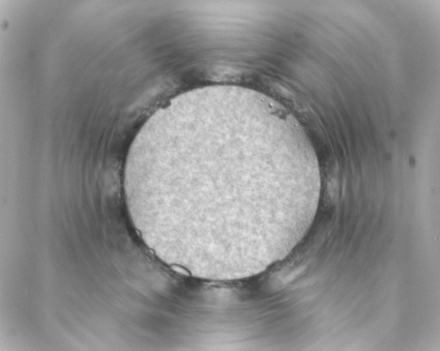 X0000088220620200706051324