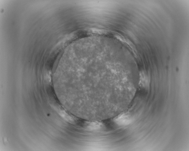 X0000088220621200706051324