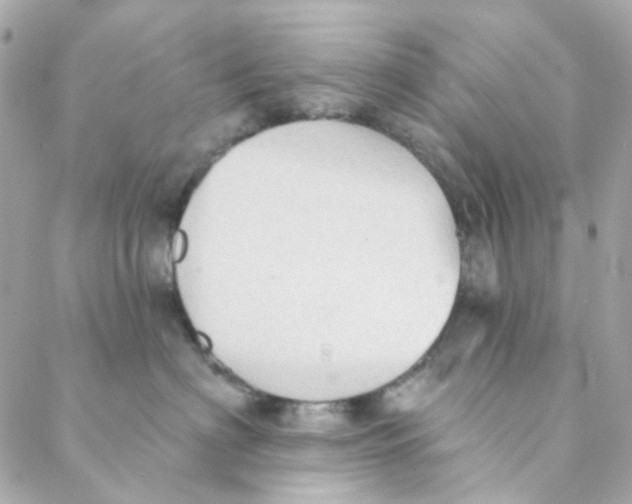 X0000088220622200706051324