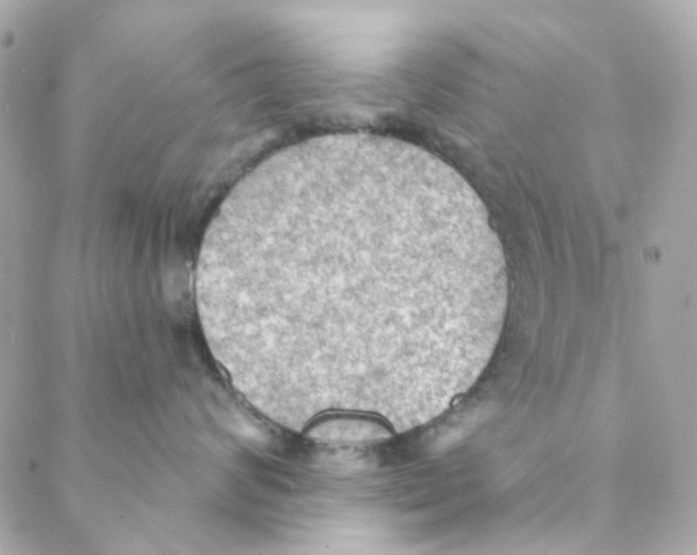 X0000088220624200706051324