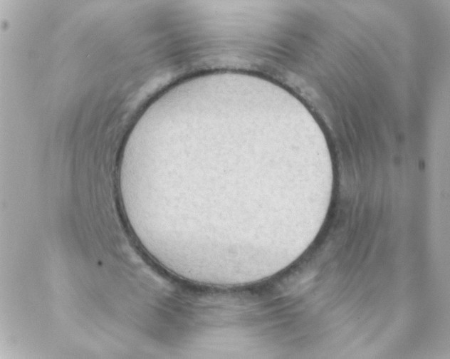 X0000088220625200706051323