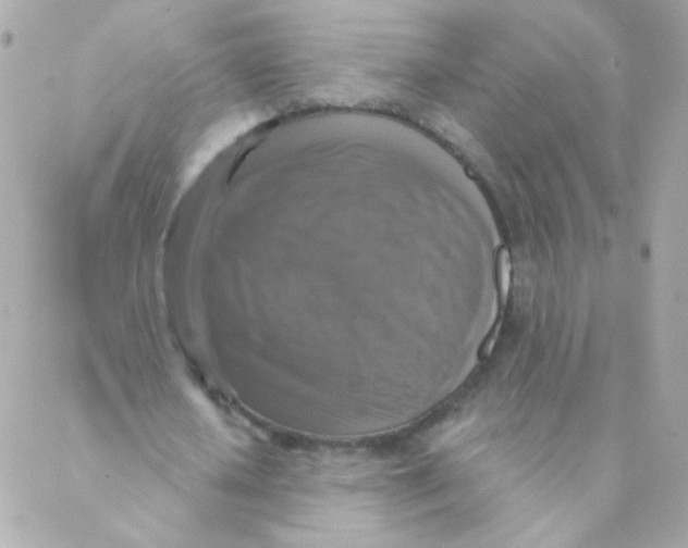 X0000088220626200706051323