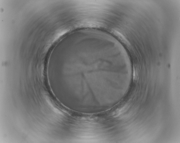 X0000088220627200706051323