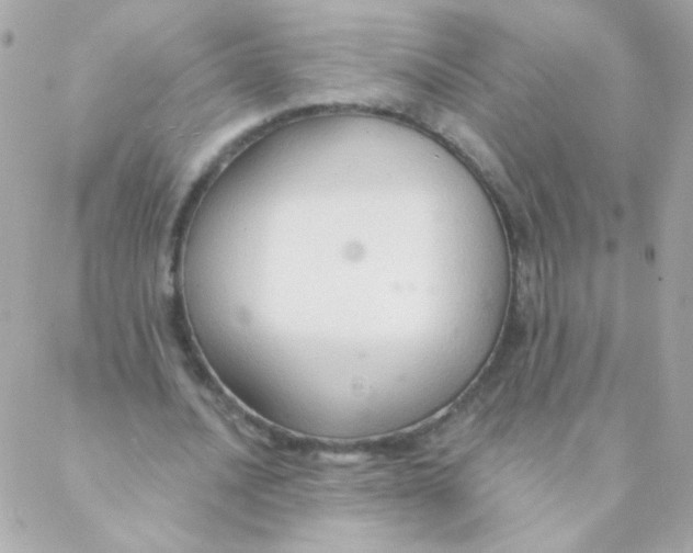 X0000088220628200706051323