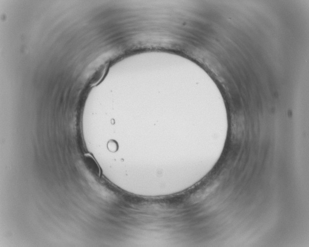 X0000088220629200706051323