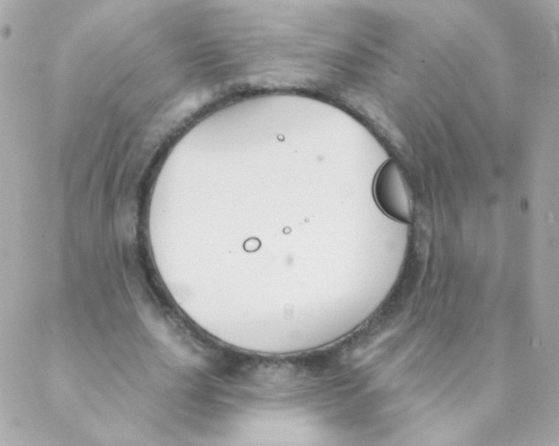 X0000088220631200706051323