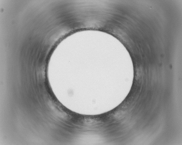 X0000088220632200706051323