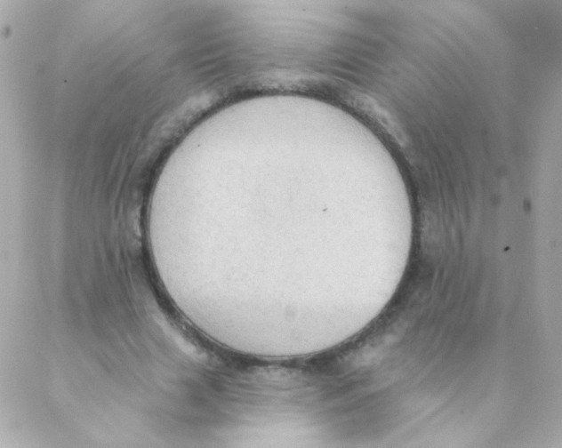 X0000088220633200706051323