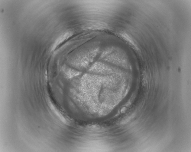 X0000088220634200706051323