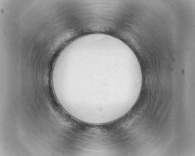 X0000088220635200706051323