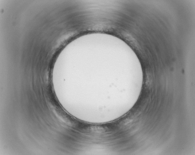 X0000088220636200706051323