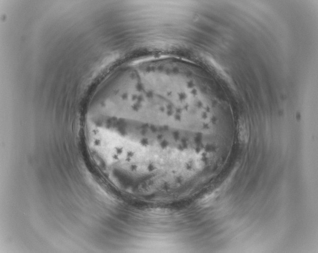 X0000088220637200706051323