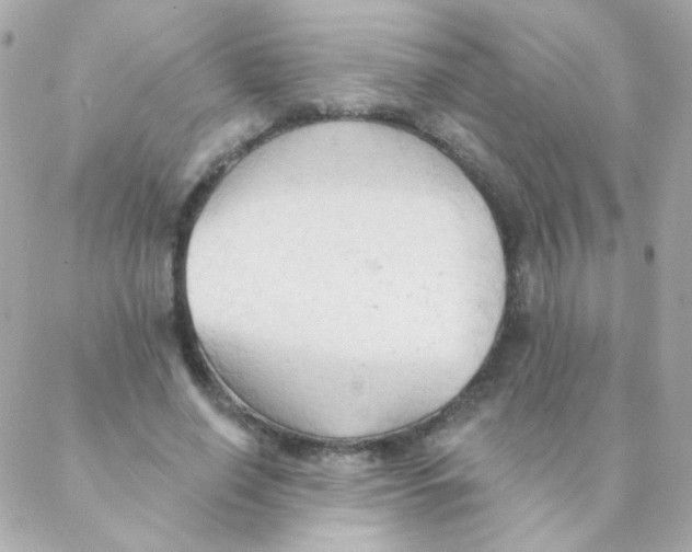 X0000088220638200706051323