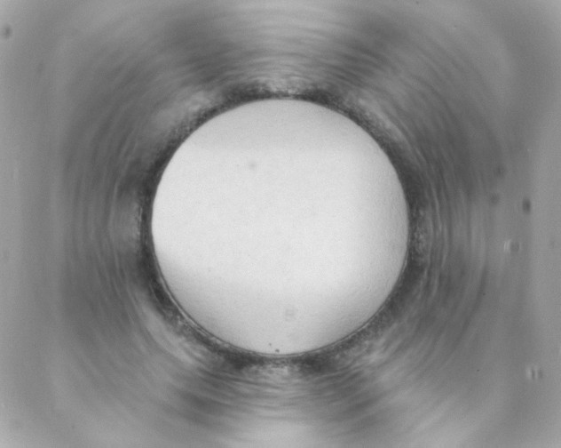 X0000088220639200706051323