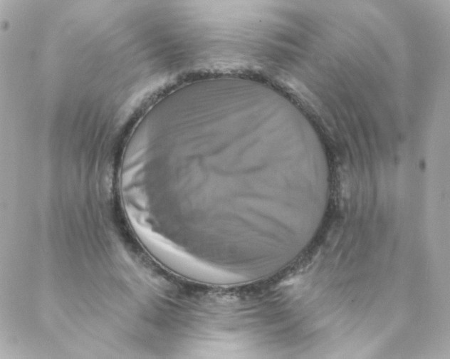 X0000088220640200706051323