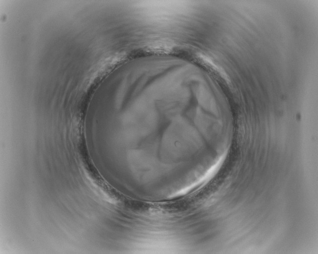 X0000088220641200706051323