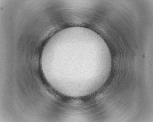 X0000088220642200706051323