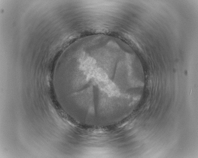 X0000088220643200706051323