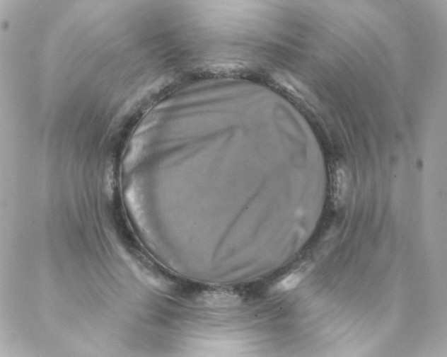 X0000088220644200706051323