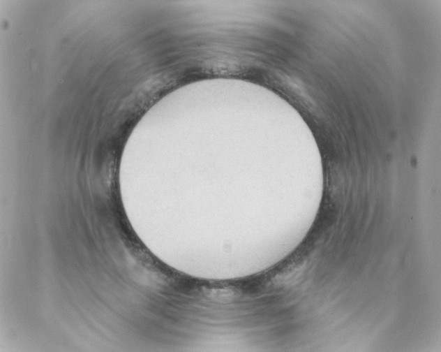 X0000088220645200706051323