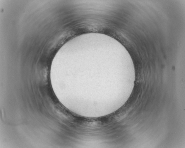 X0000088220646200706051323