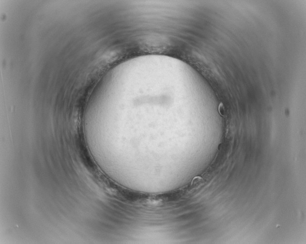 X0000088220647200706051323