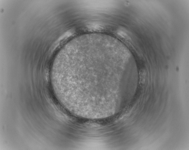 X0000088220648200706051323