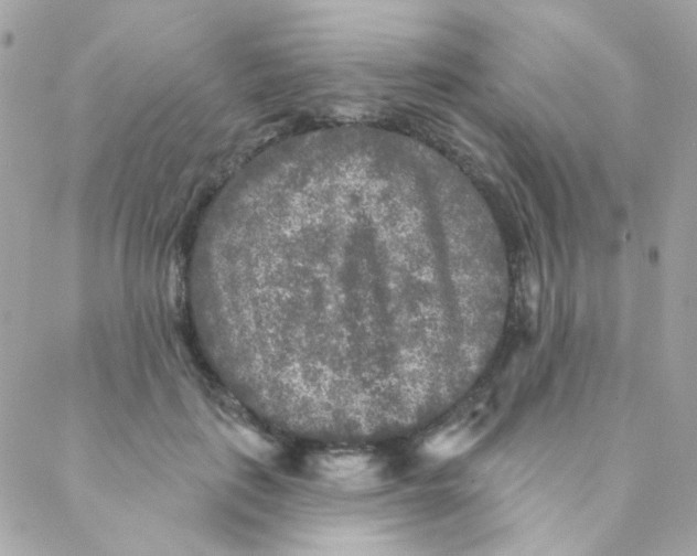 X0000088220651200706051324