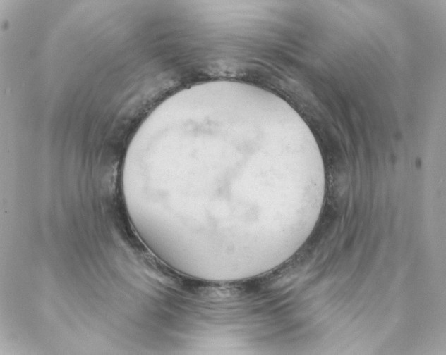 X0000088220652200706051324