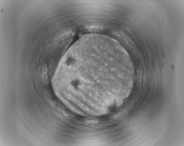 X0000088220653200706051324