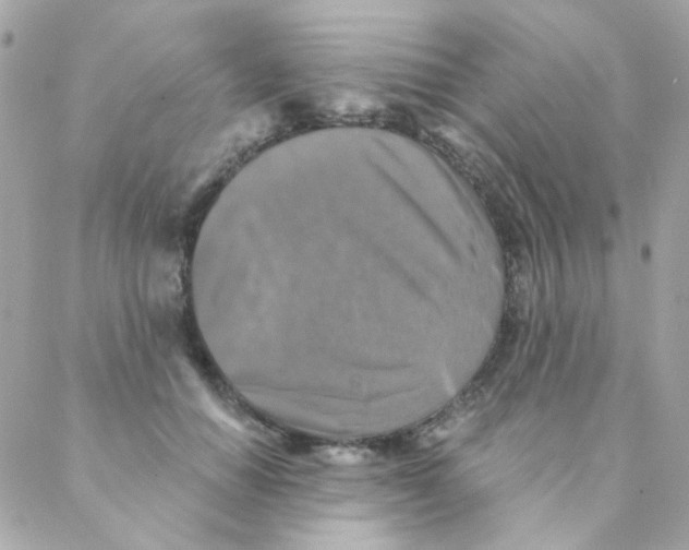 X0000088220654200706051324