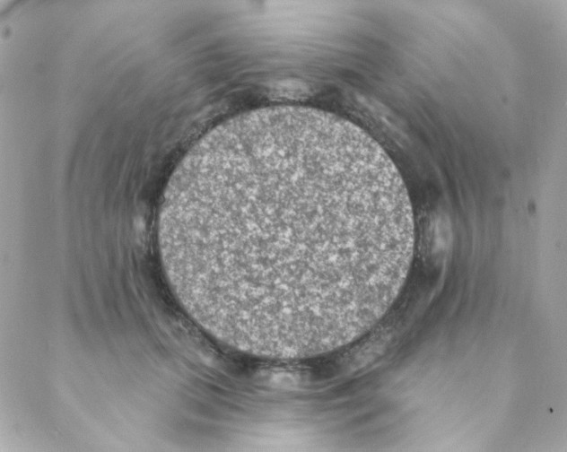 X0000088220655200706051324