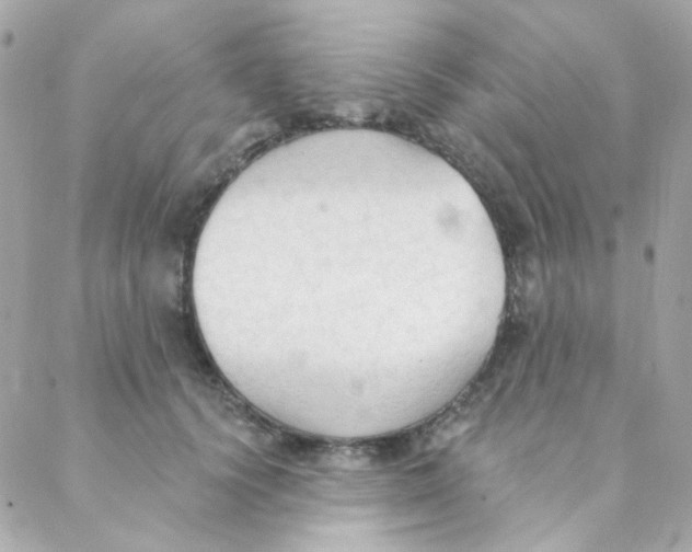 X0000088220656200706051324