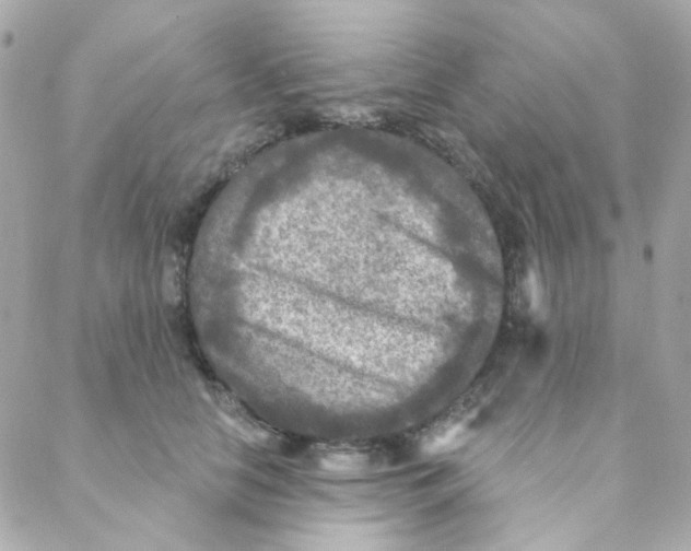 X0000088220658200706051324