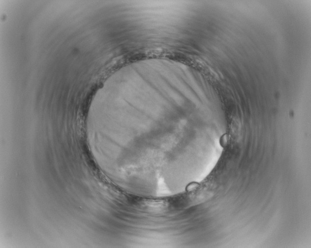 X0000088220659200706051324