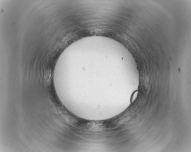 X0000088220660200706051324