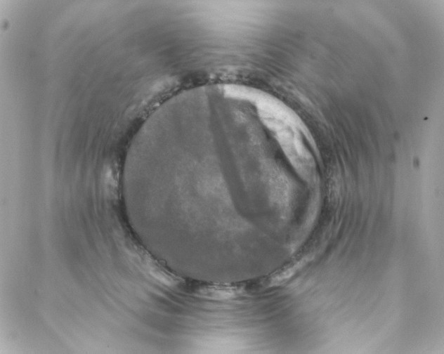 X0000088220661200706051324