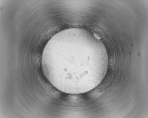 X0000088220662200706051324