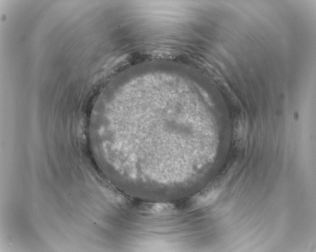 X0000088220663200706051324