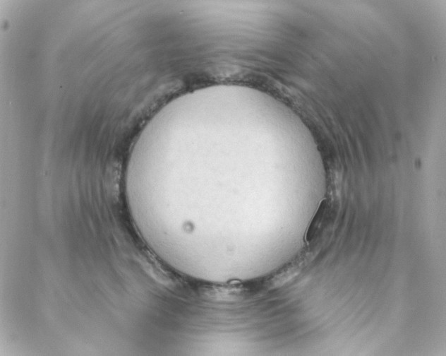 X0000088220664200706051324