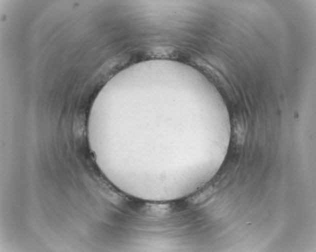 X0000088220665200706051324