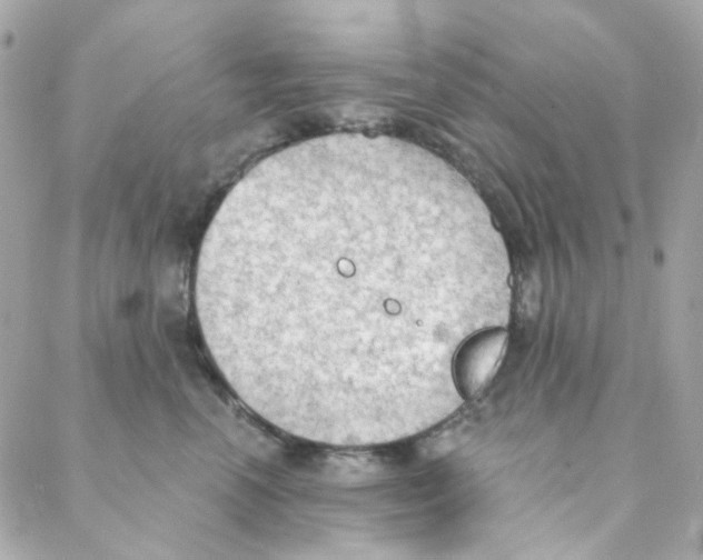 X0000088220666200706051324