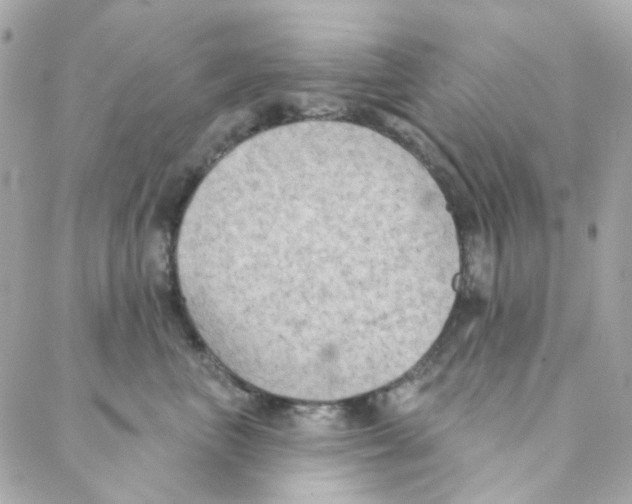 X0000088220667200706051324