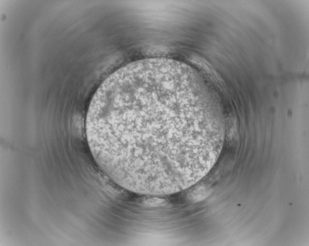 X0000088220669200706051324