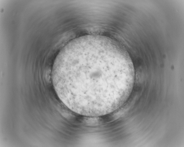 X0000088220671200706051324