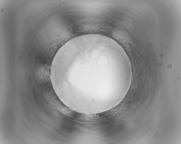 X0000088220672200706051324