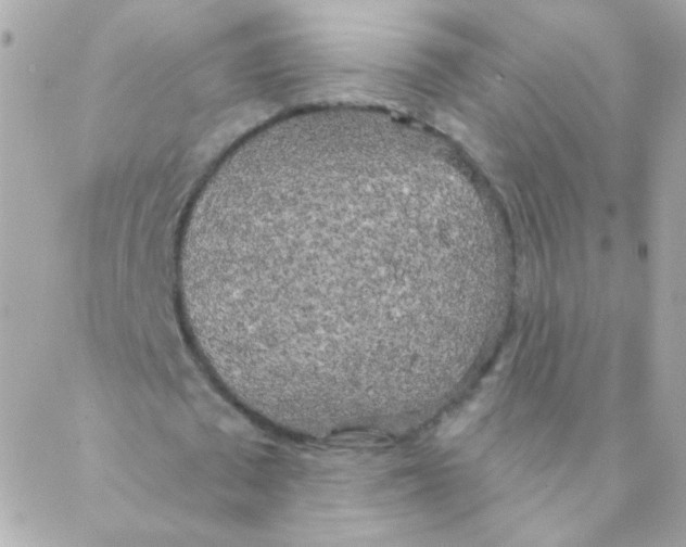 X0000088220673200706051323